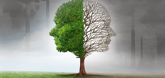اذاعة مدرسية عن التغيرات المناخية