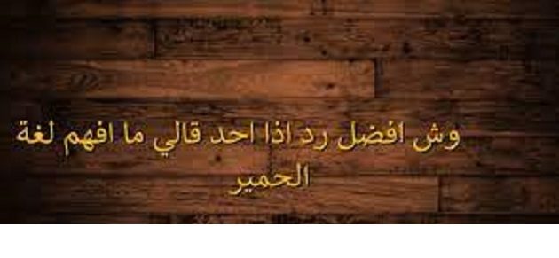 أفضل الردود إذا أحد قالي ما أفهم لغة الحمير