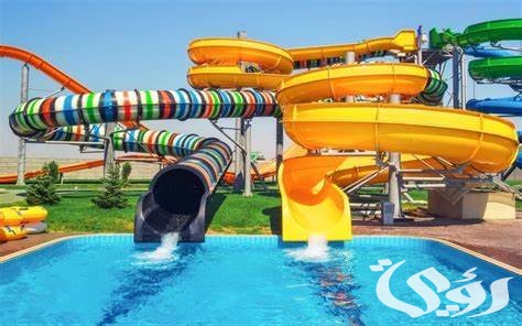 اسعار تذاكر الدخول إلى مربى الشارقة للأحياء المائية الآراء ومواعيد العمل